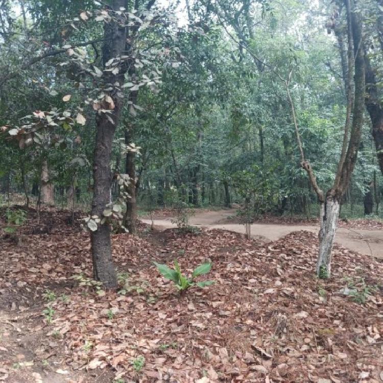 Terreno Comercial en Renta en Carretera Interamericana