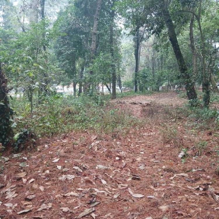 Terreno Comercial en Renta en Carretera Interamericana