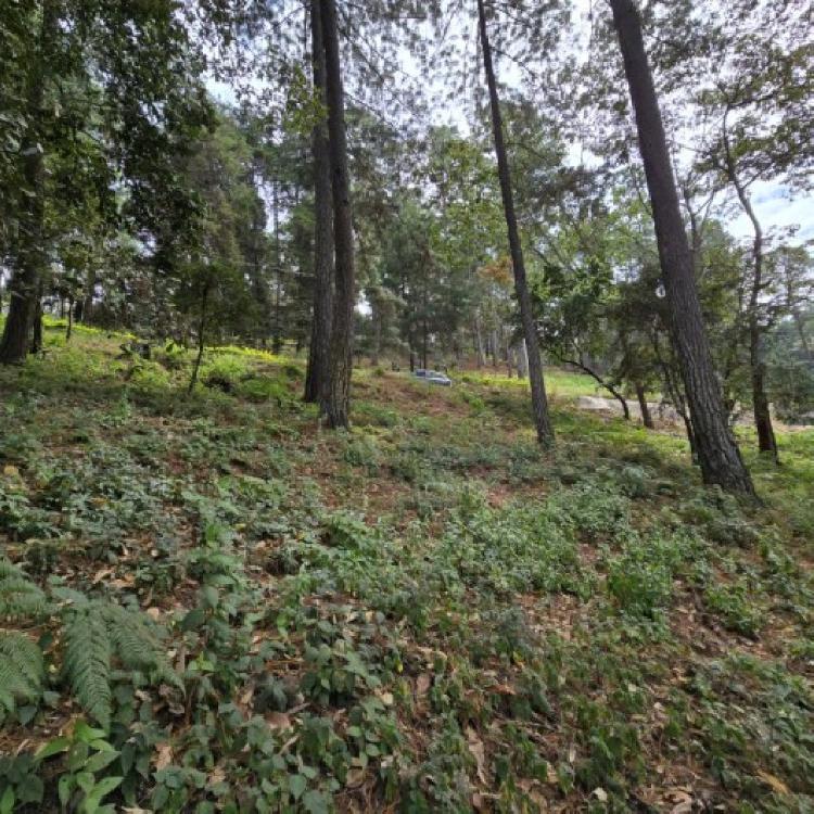 Terreno en Venta Los Horizontes Santo Domingo Xenacoj