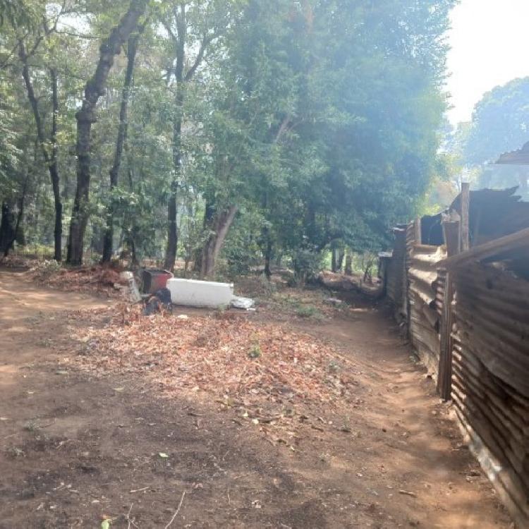 Terreno Comercial en Renta en Carretera Interamericana