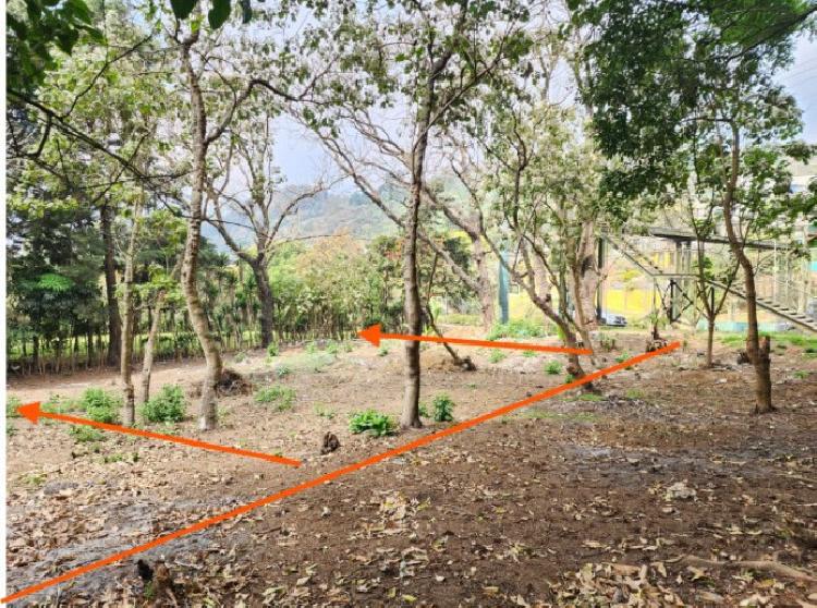 Terreno en Venta Ruta Interamericana San Lucas