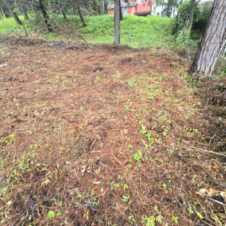 Terreno en Venta Hacienda Manzanales Santa María Cauque