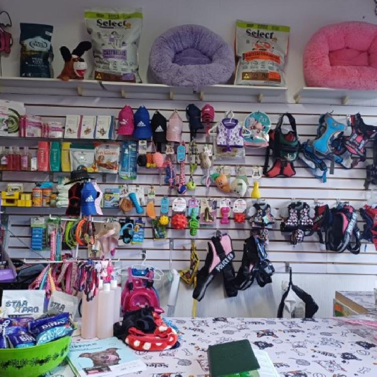 Derecho de Llave en Venta San Cristóbal Tienda Mascotas