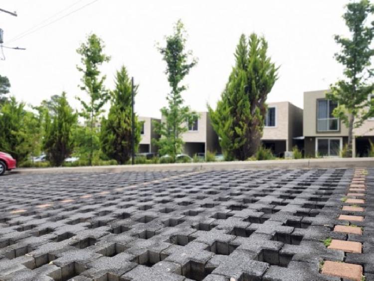 Casa en Renta San Cristóbal, de 4 habitaciones y jardín