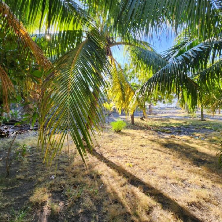 Cesión de Terreno Vacacional en OCRET Puerto San José