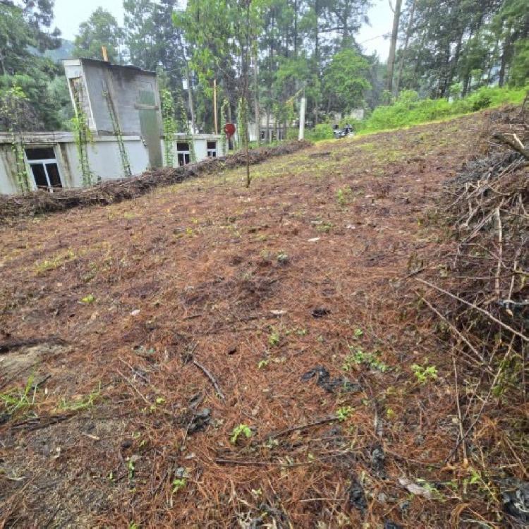 Terreno en Venta Hacienda Manzanales Santa María Cauque