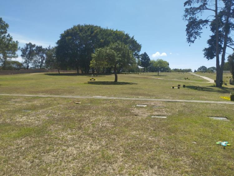 Terreno de 6 criptas en Venta en Cementerio Las Flores 