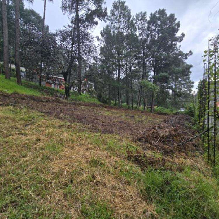 Terreno en Venta Hacienda Manzanales Santa María Cauque