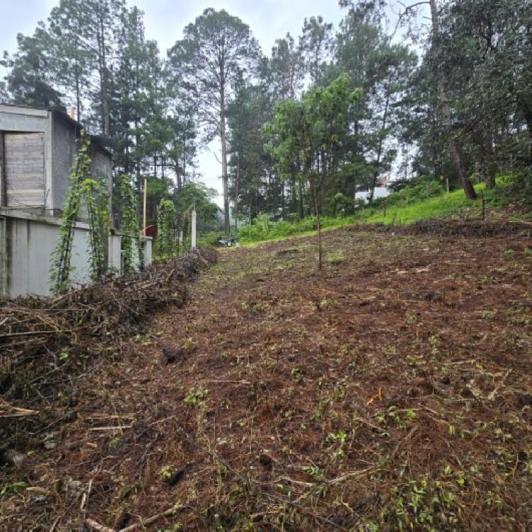 Terreno en Venta Hacienda Manzanales Santa María Cauque