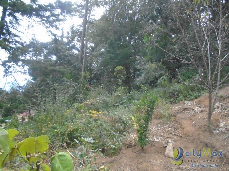 Granja en Venta Cercano a la Carretera Interamericana.