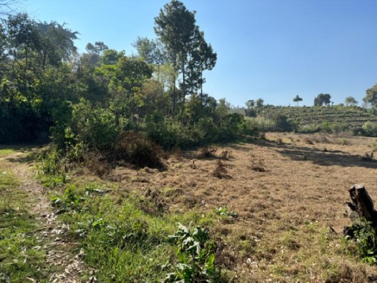 Terreno en Venta La Cienaga, Zaragoza, Chimaltenango