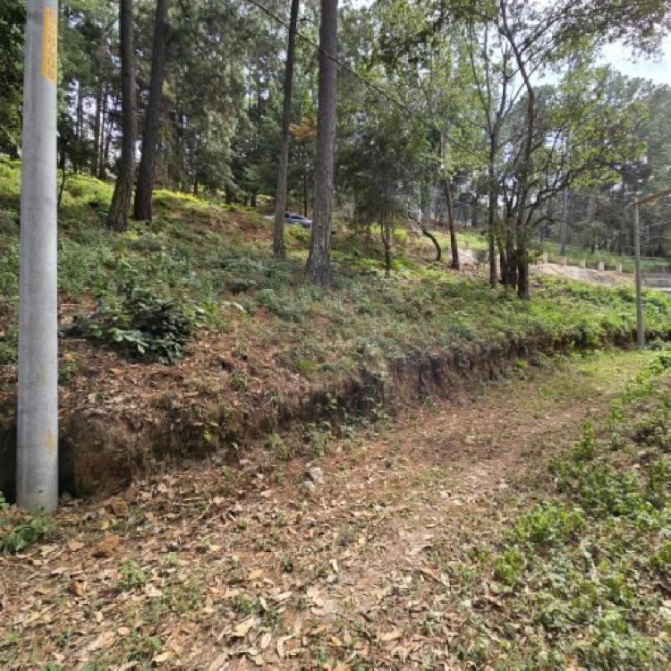 Terreno en Venta Los Horizontes Santo Domingo Xenacoj