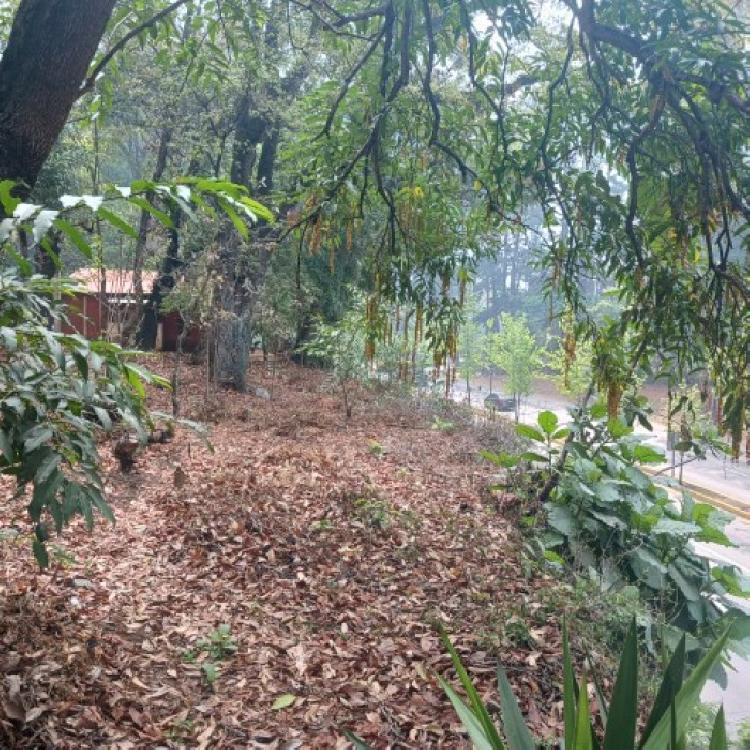 Terreno Comercial en Renta en Carretera Interamericana