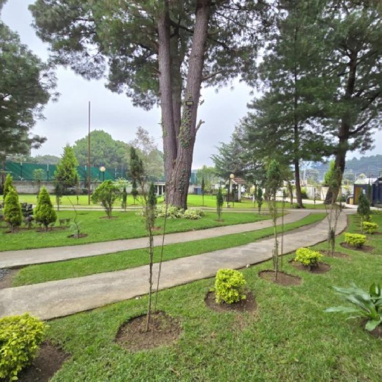 Granja Comercial en Renta San Lucas Sacatepéquez