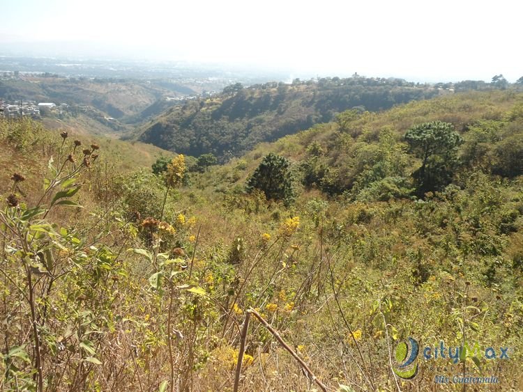 FINCA EN VENTA EN RUTA INTERAMERICANA HACIA SAN LUCAS 