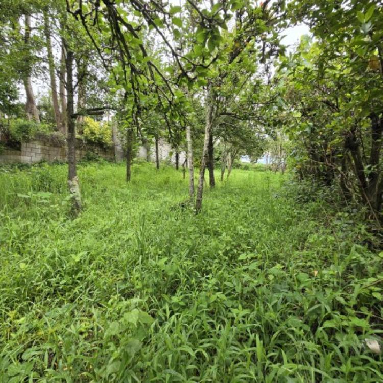 Terreno Comercial en Renta San Bartolomé Milpas Altas  