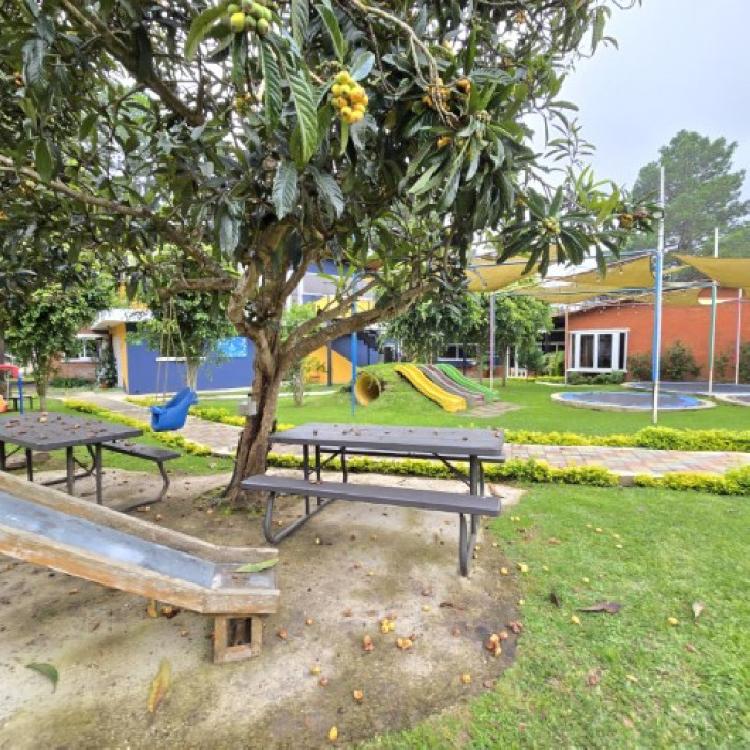 Granja Comercial en Renta San Lucas Sacatepéquez