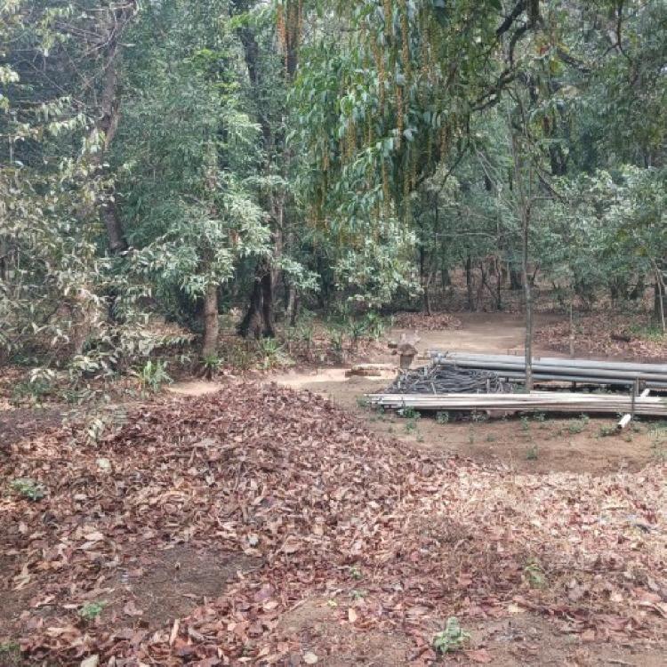 Terreno Comercial en Renta en Carretera Interamericana