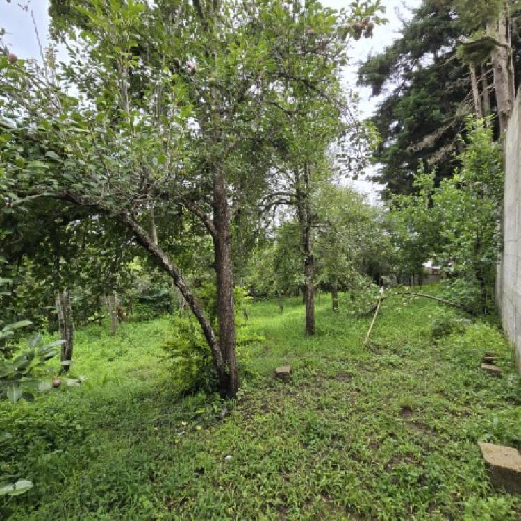 Terreno Comercial en Renta San Bartolomé Milpas Altas  