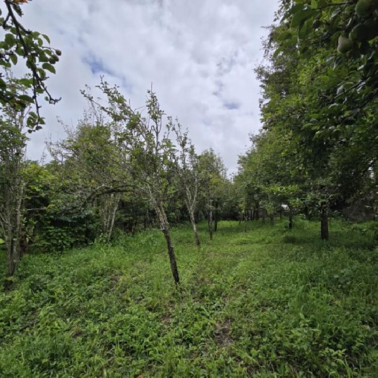 Terreno Comercial en Renta San Bartolomé Milpas Altas  