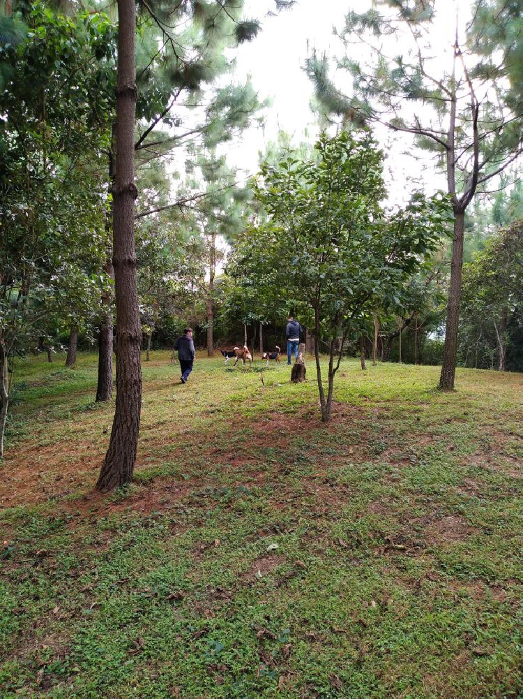 VENTA/RENTA Terreno con construcción Santa Rosa de Lima