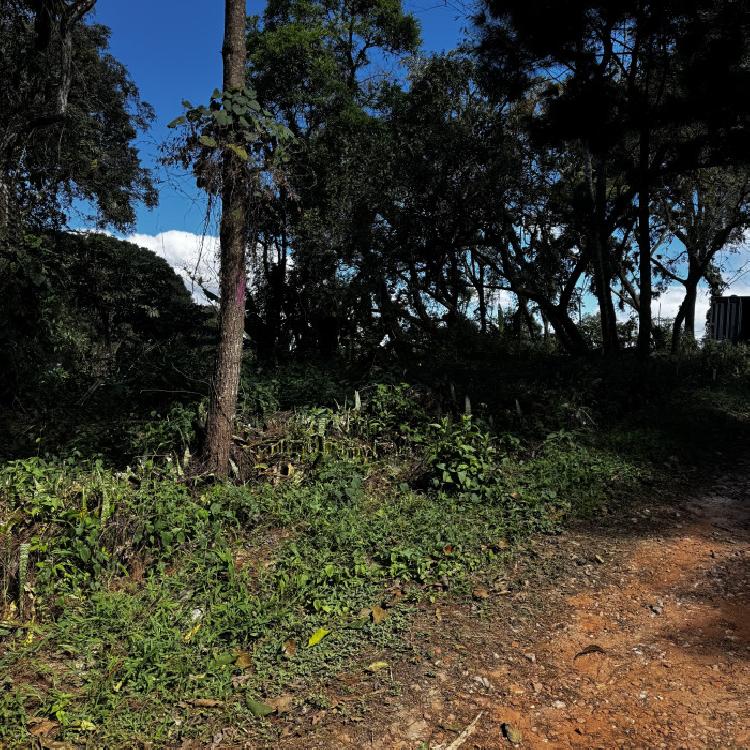 Terreno en Venta en Santa Rosalía