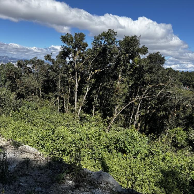 Terreno en Venta en Santa Rosalía