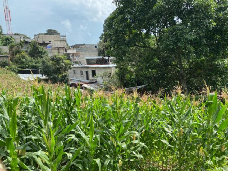 Terreno en Renta en Santa Catarina Pinula 