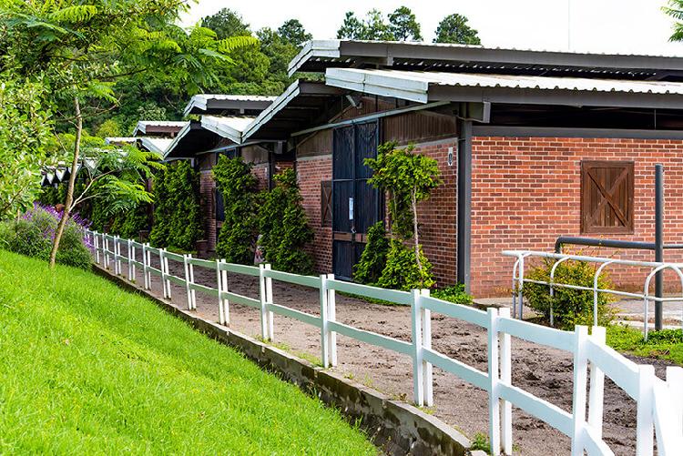  Venta terreno en El Pulté zona 16