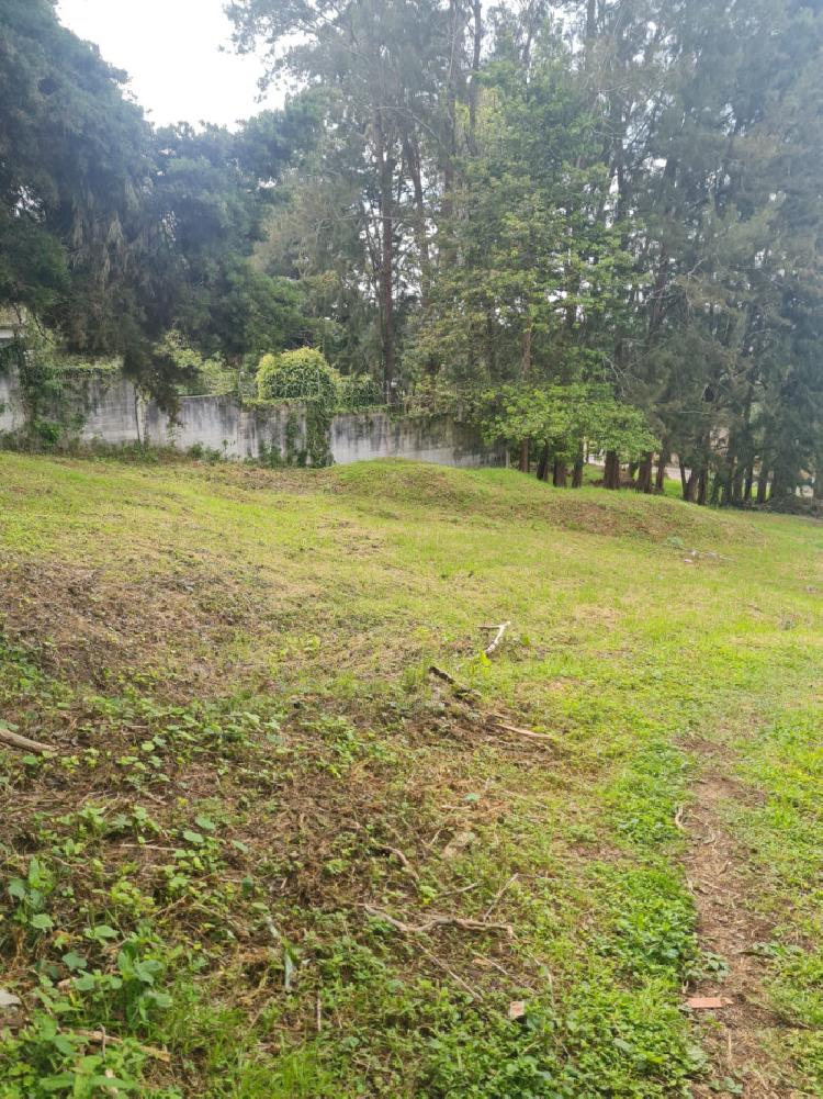 Terreno en Venta Carretera Salvador km 16.5