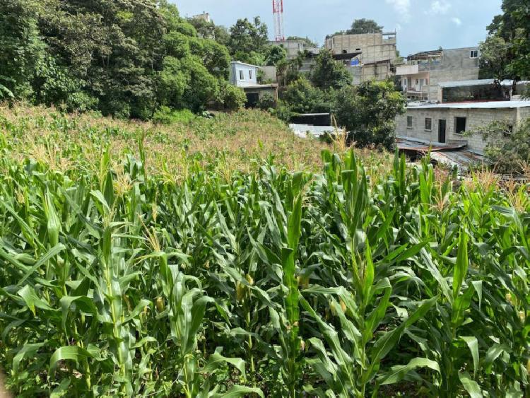 Terreno en Renta en Santa Catarina Pinula 