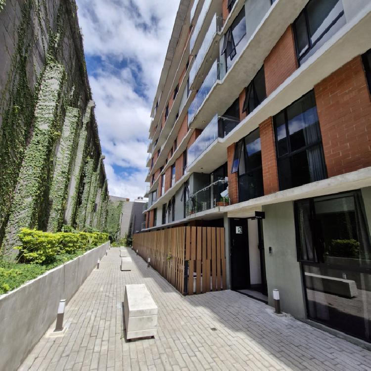 Apartamento en renta en zona 11 Colonia en Mariscal