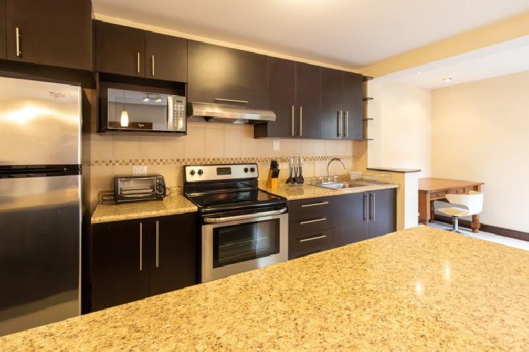 Renta  de Apartamento Amueblado y Equipado en Zona 10 