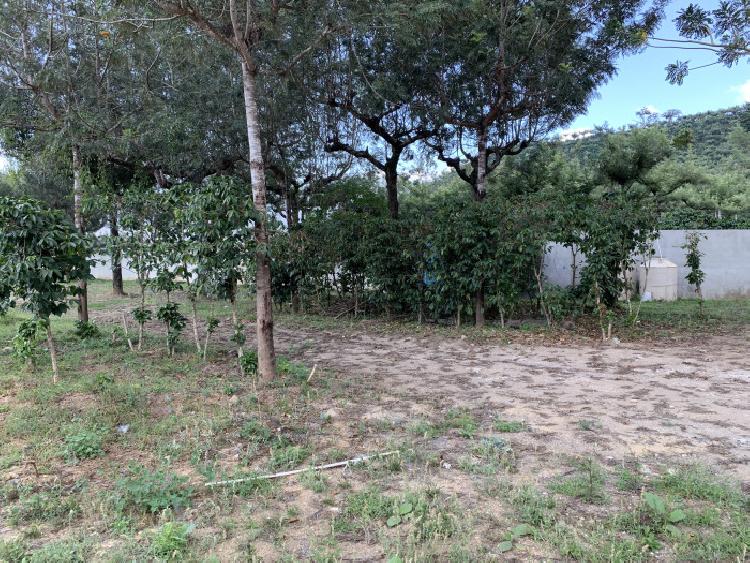 Se vende terreno en Residencial Los Apostoles