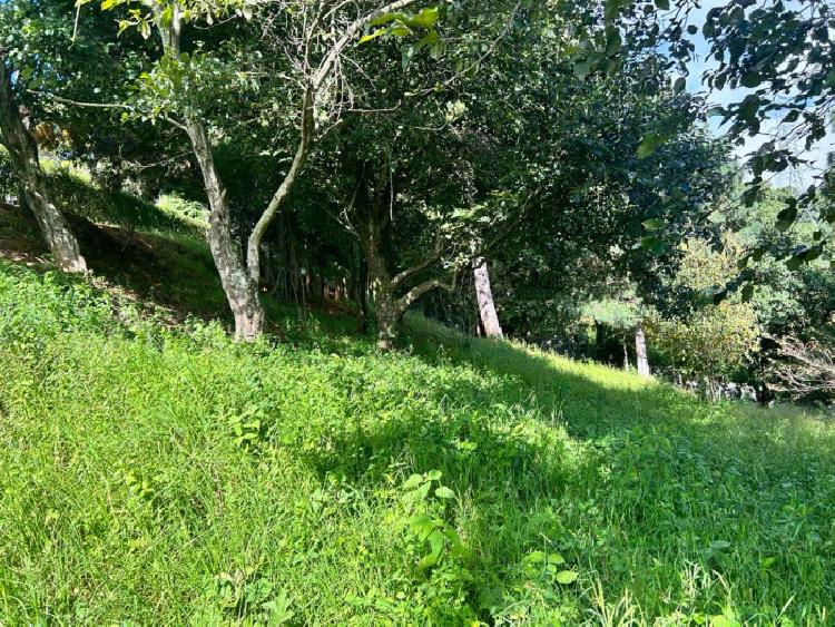 TERRENO EN VENTA EN SAN LUCAS