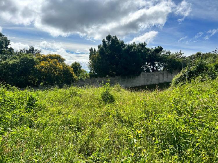 TERRENO EN VENTA EN SAN LUCAS