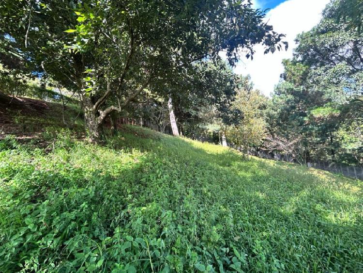 TERRENO EN VENTA EN SAN LUCAS
