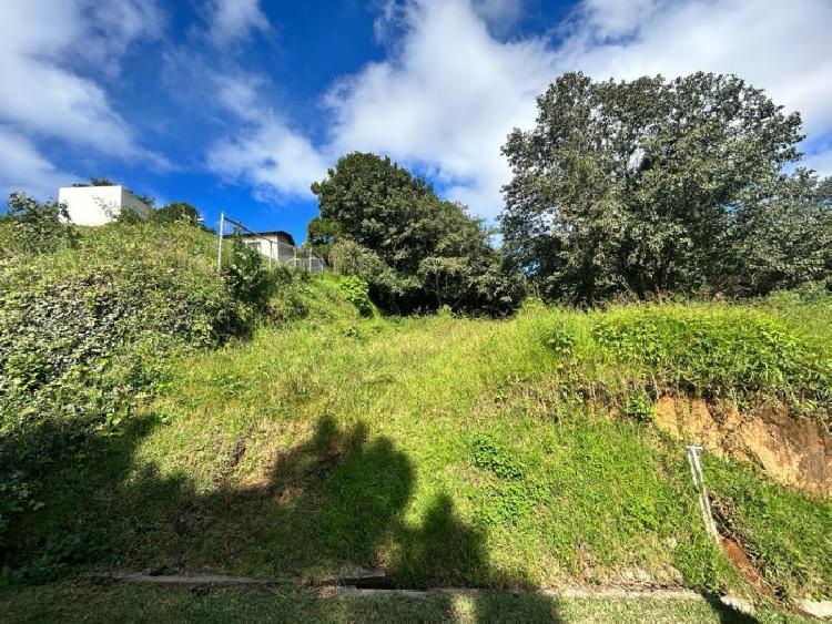 TERRENO EN VENTA EN SAN LUCAS