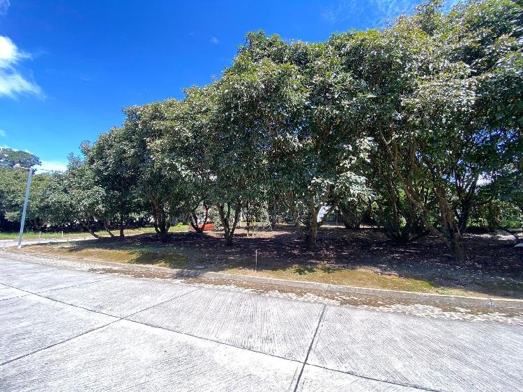 Terreno En Venta En Residencial Santa Teresa, Sac