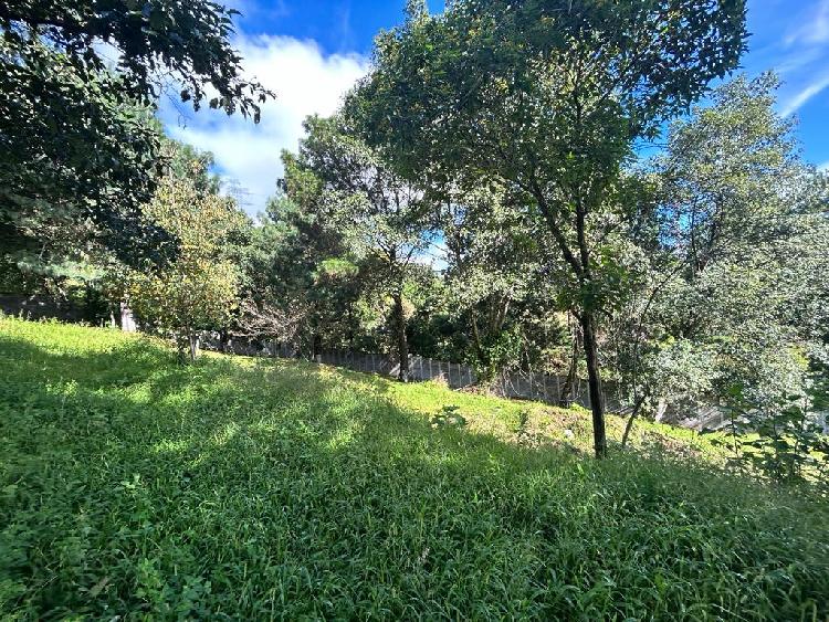 TERRENO EN VENTA EN SAN LUCAS