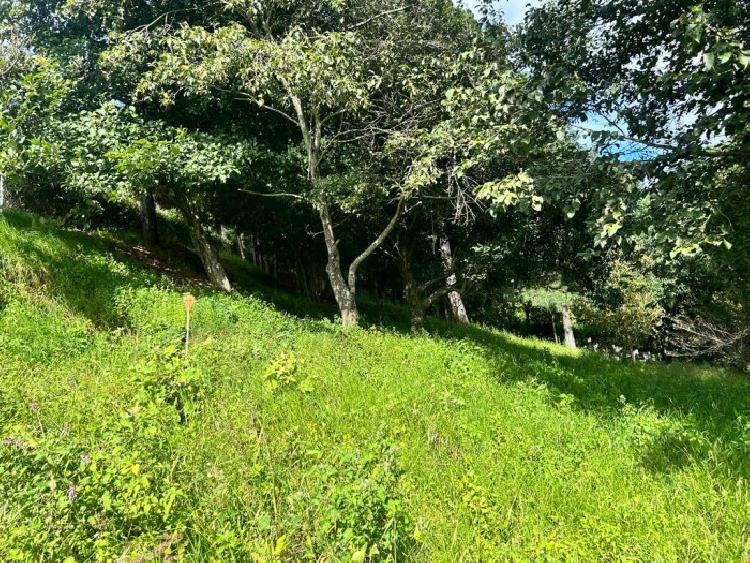 TERRENO EN VENTA EN SAN LUCAS