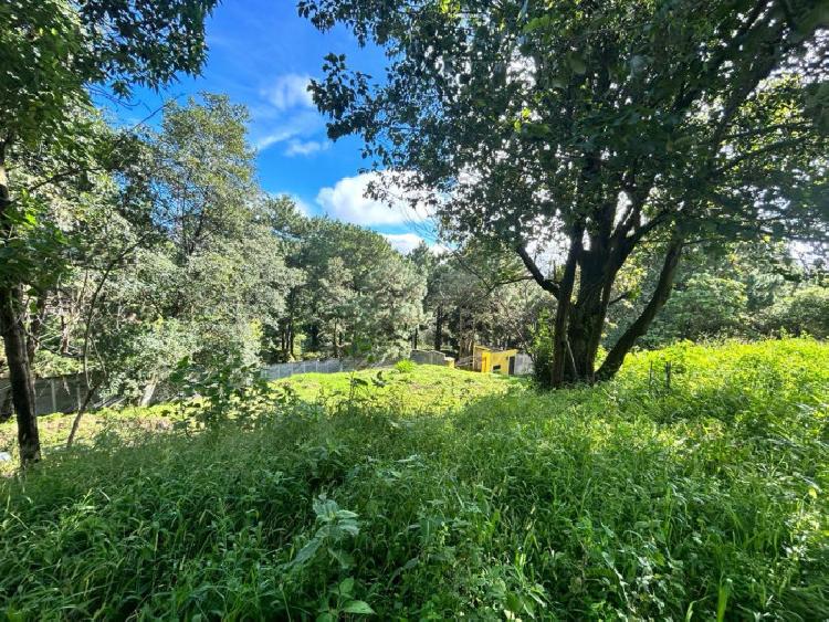 TERRENO EN VENTA EN SAN LUCAS