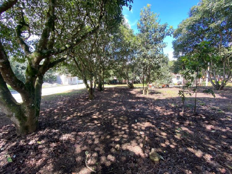 Terreno En Venta En Residencial Santa Teresa, Sac
