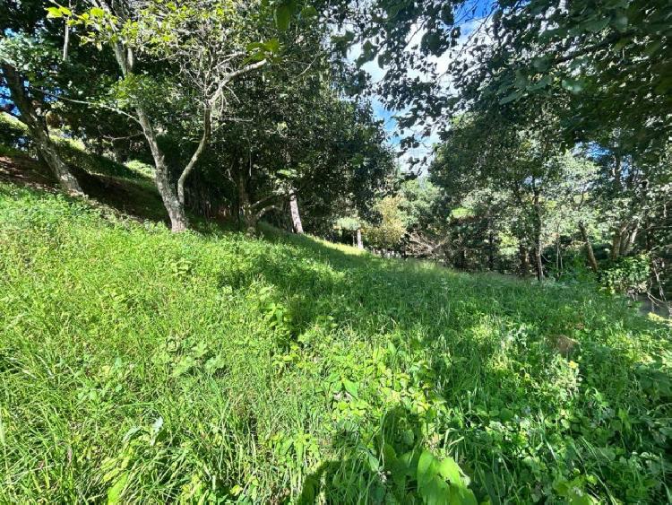 TERRENO EN VENTA EN SAN LUCAS