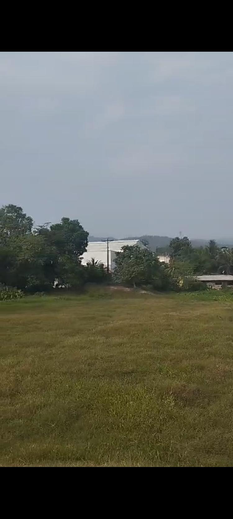 Finca en Puerto Barrios Izabal