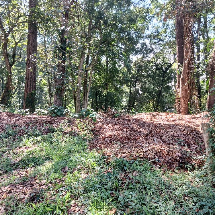 TERRENO EN VENTA EN EL CERRO ALUX