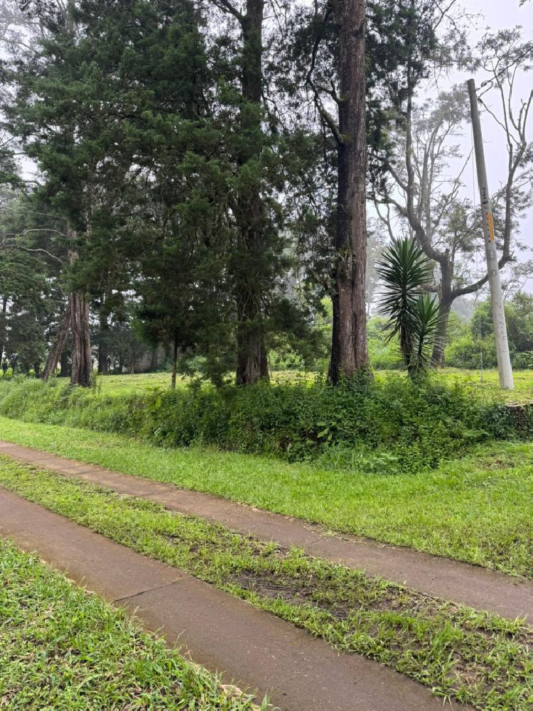 Terreno  de Esquina  Santa Elena Barillas