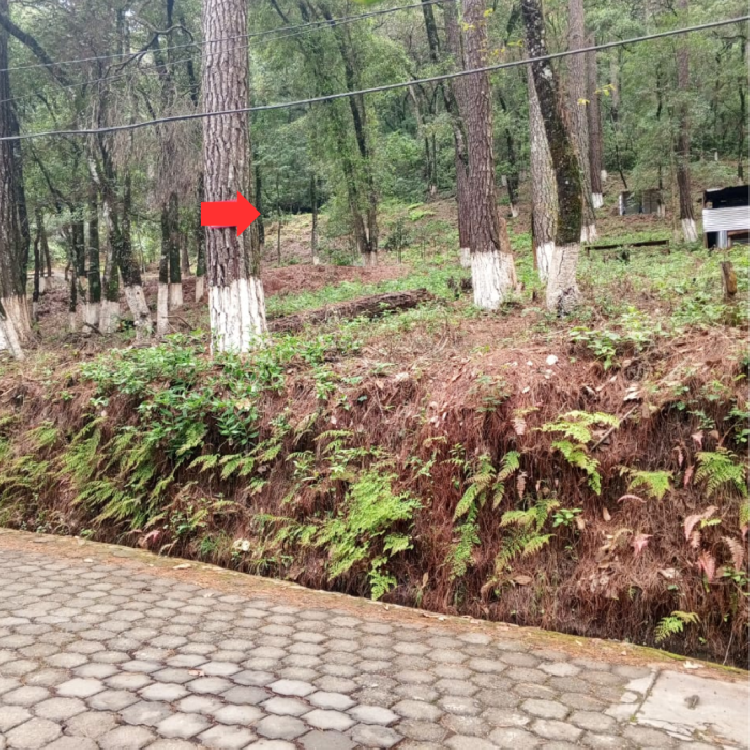 Venta de Terreno en Labor de Castilla, Mixco.