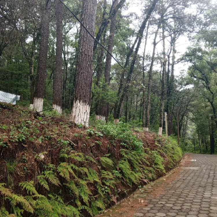 Venta de Terreno en Labor de Castilla, Mixco.