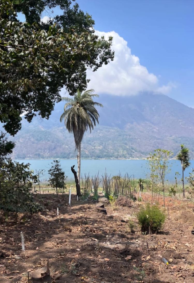 VENDO TERRENO A ORILLA DEL LAGO, SANTIAGO ATITLÁN 